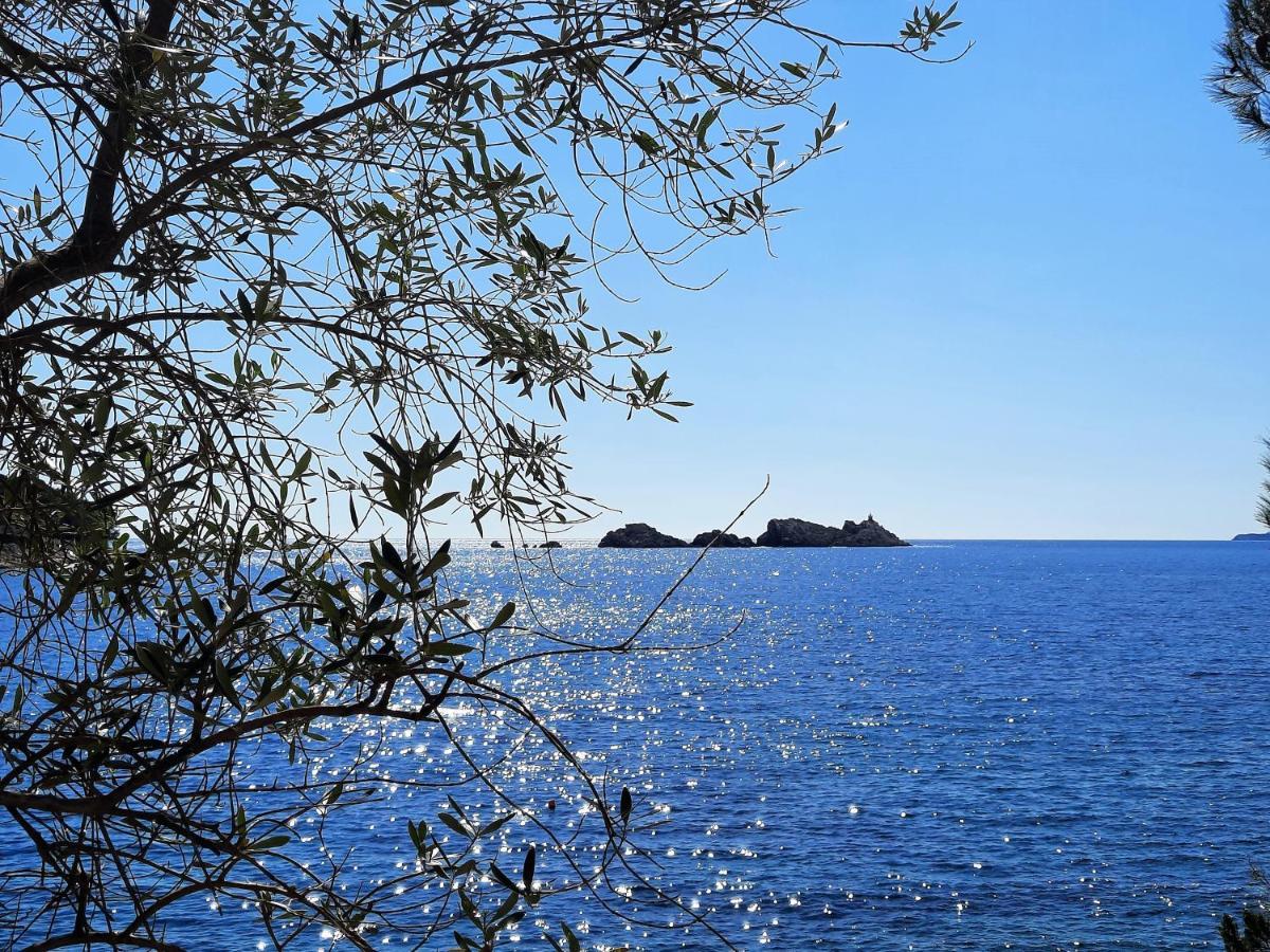 Blue Promenade Apartments Ντουμπρόβνικ Εξωτερικό φωτογραφία