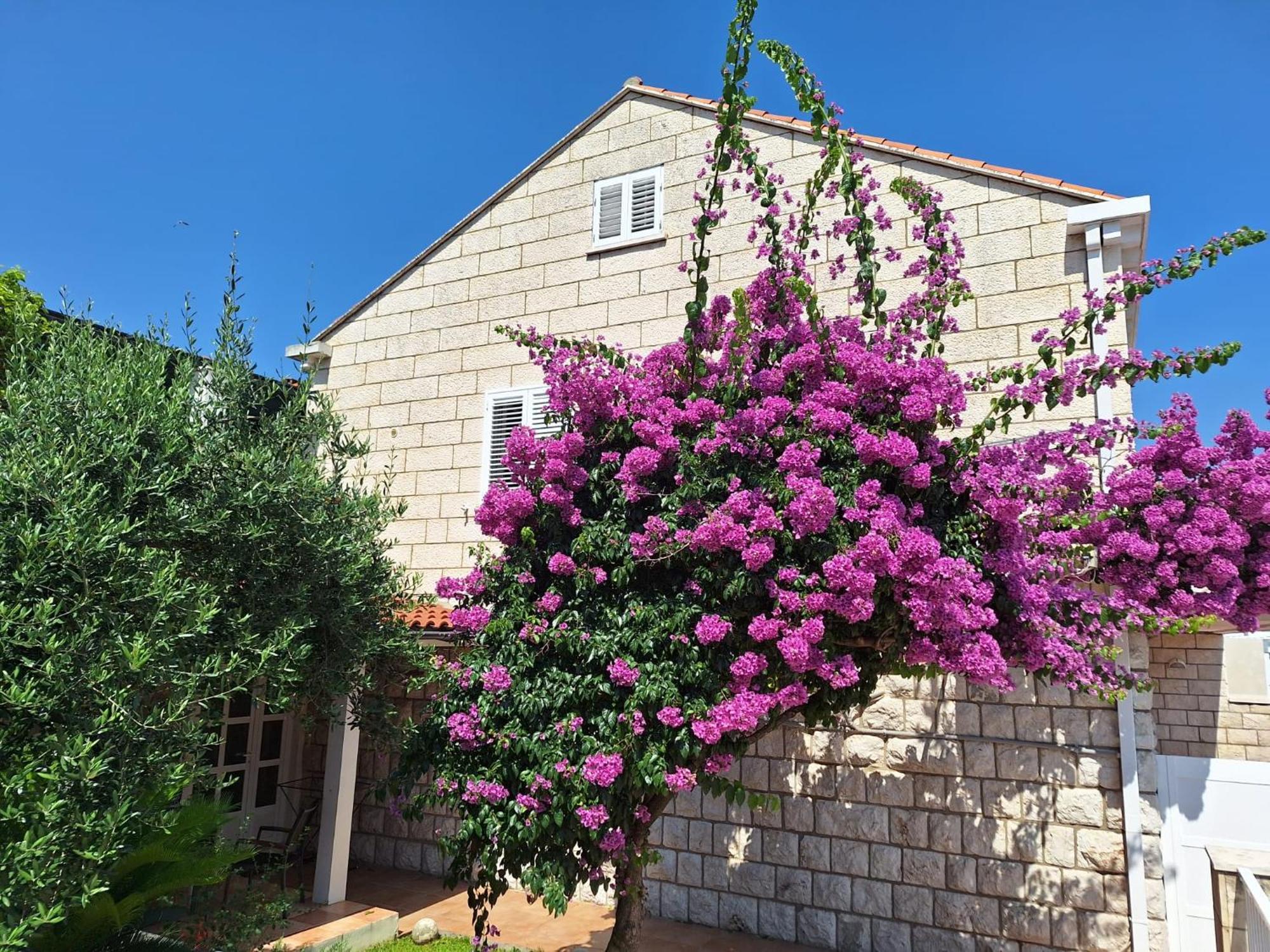 Blue Promenade Apartments Ντουμπρόβνικ Εξωτερικό φωτογραφία